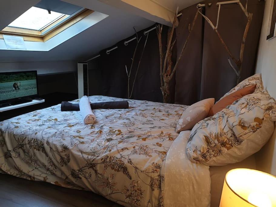 Appartement Duplexe De 1 A 4 Chambres Privees Dans Maison Le Teil Εξωτερικό φωτογραφία